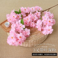 �ٗl�һ��҃��b�������ϙѻ����滨��͏d��ؼٻ�c������֦