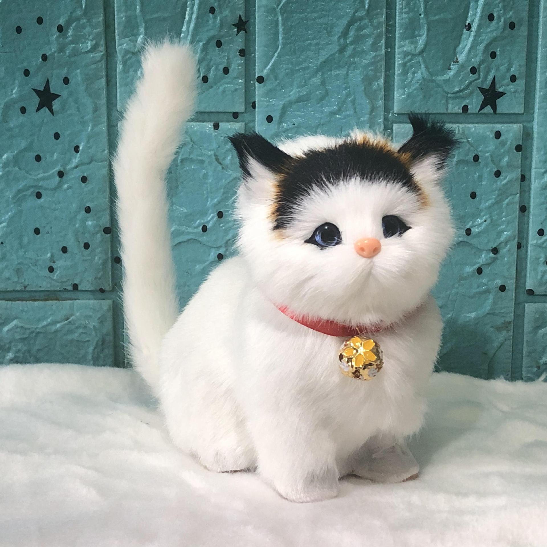 2022_09_30_14_40_IMG_1524