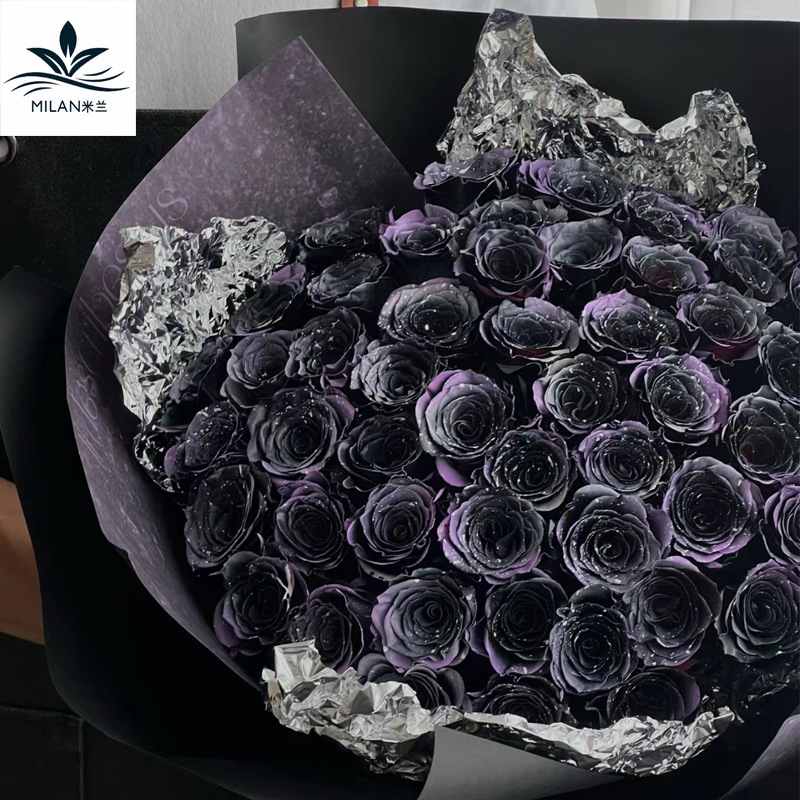 Internet celebridad ciruela negro rosa púrpura flores autopintadas agente de pulverización de color tinte floral spray colorante