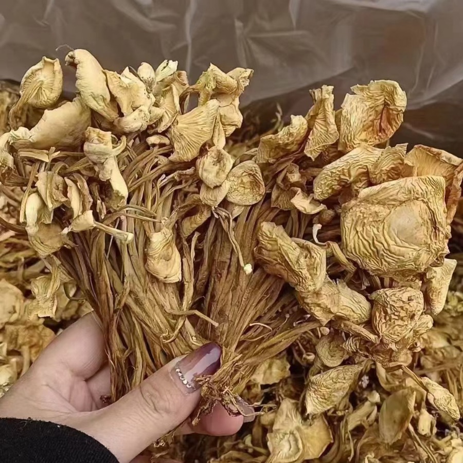 干金针菇菌菇干货散装金针菇干货食用菌跑江湖散装干金针菇批发