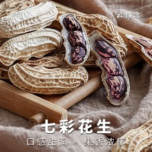 녳 ߲ʻ2024؛Ɏţ̻Ϻڻ