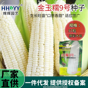 ����Ŵ9̖��Ŵ���׷N���r���������U�ְ�ճ�����ѬF؛���l