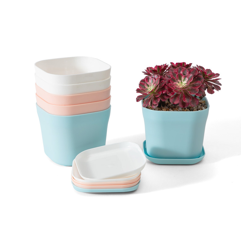 Maceta cuadrada de plástico reforzado para suculentas con bandeja