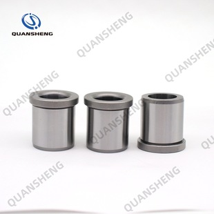 din172 Guide Bushing German Standard GANTER Standard DIN179 Guide Bushing Precision Drill Bushing