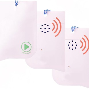 �羳����voice recordable gift tag�Z���lС����������R��