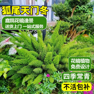 ��β���T������С������̨ͥԺ�ļ�������B�Gֲ�������T����β