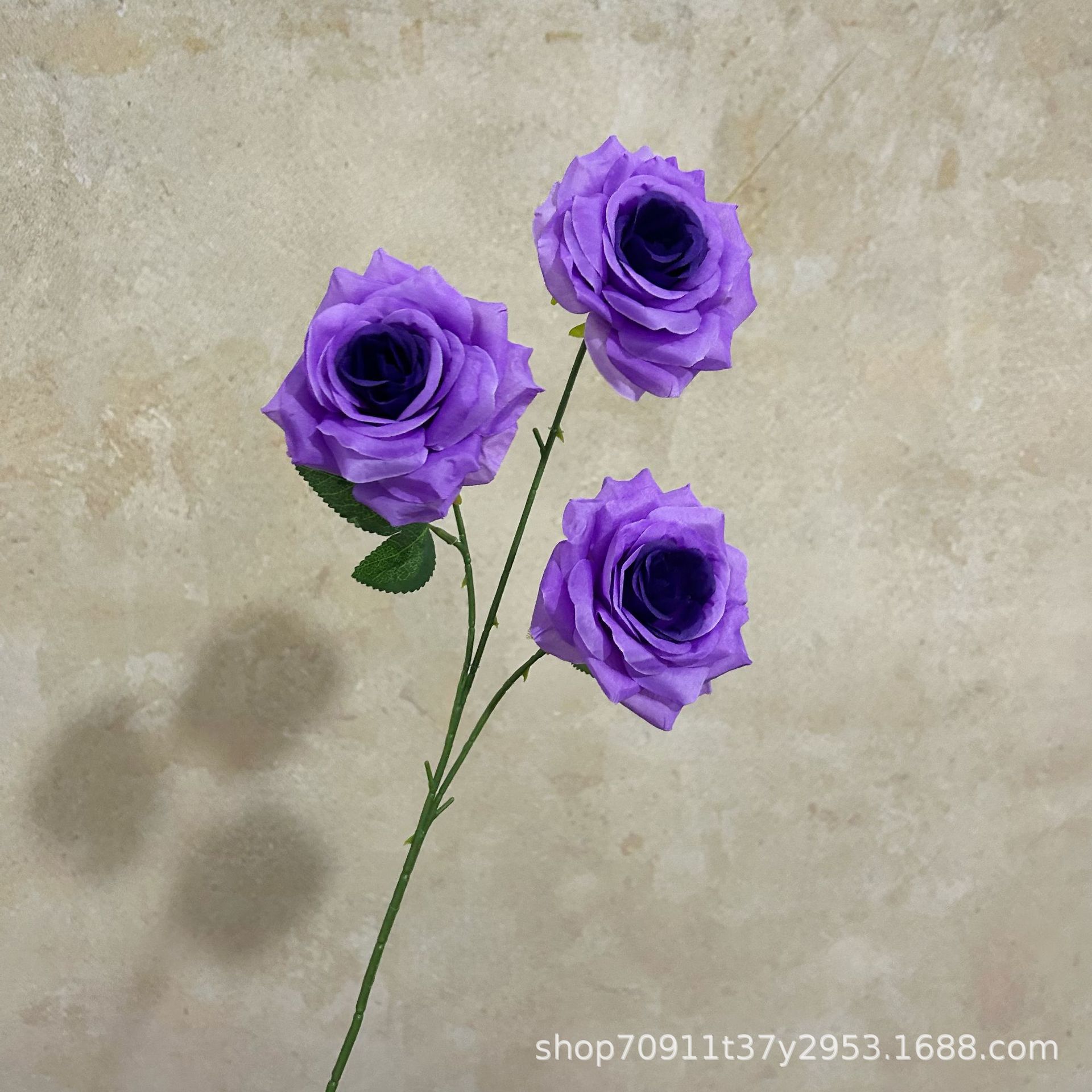 잎이 있는 진한 보라색