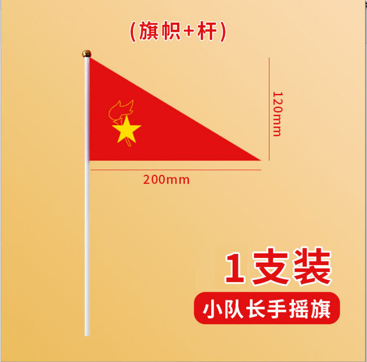 Cờ đội thiếu niên tiền phong (cờ đội)/