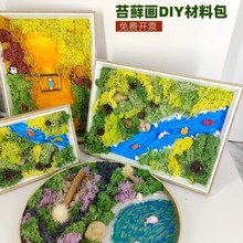 永生苔藓画材料包竹编筐手工DIY竹框创意植物画绿植相框暖场团建