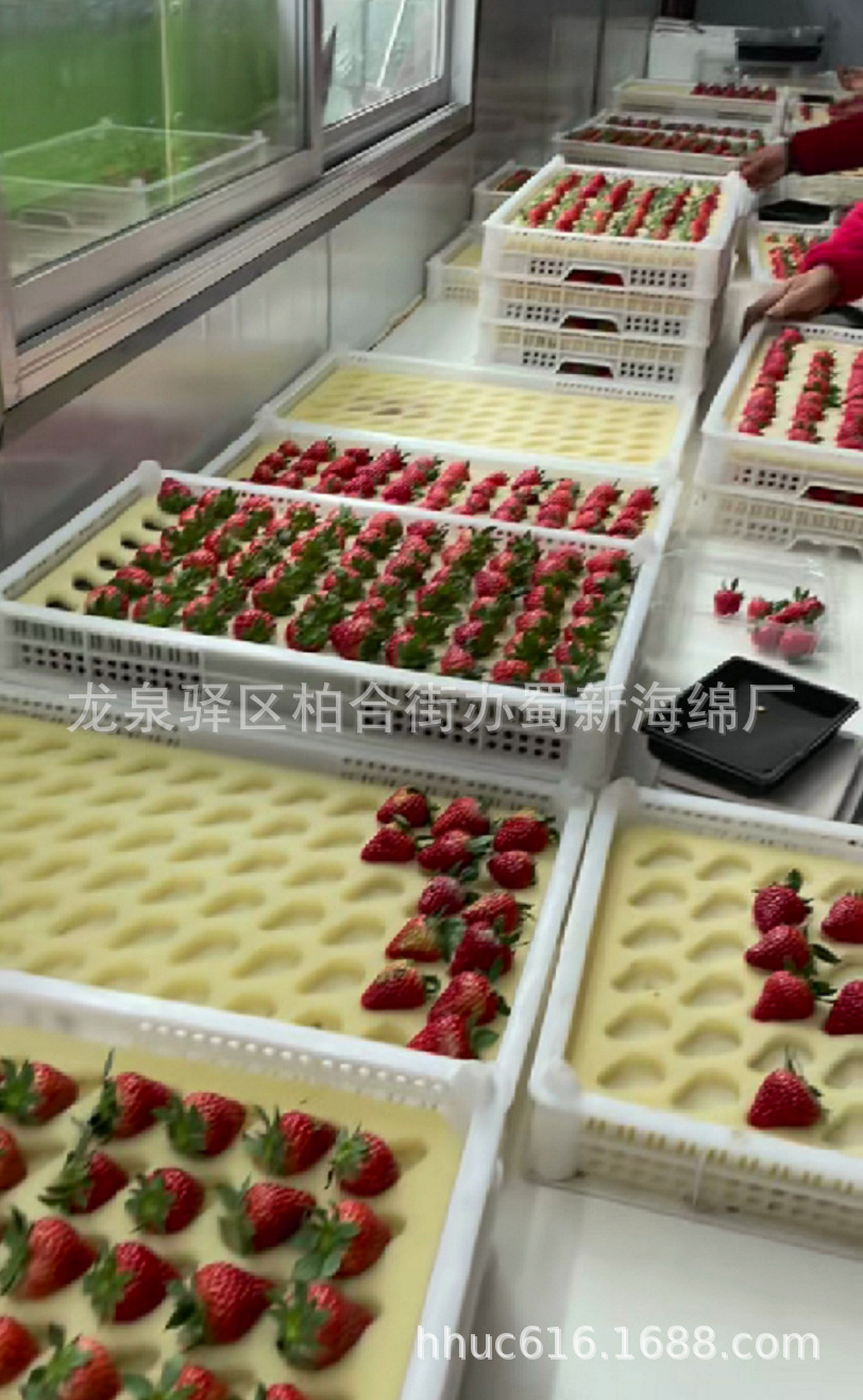 供应打孔草莓内托海绵/草莓筐子内衬海绵垫/草莓箱定位包装海绵垫