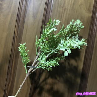 �����S���~ 5��ܛ�z�S���~ �Gֲ�҃Ƚ����g�b�ֻ/���廨