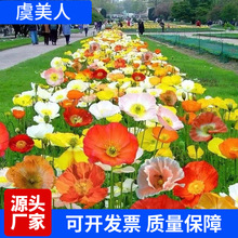 l˷NӷNѶͺNҊͻNӃ˷NӰ