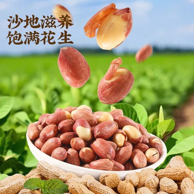 五香黄芪党参烤花生低温烘焙炒口感酥脆留香下酒解馋山东烤花生|undefined