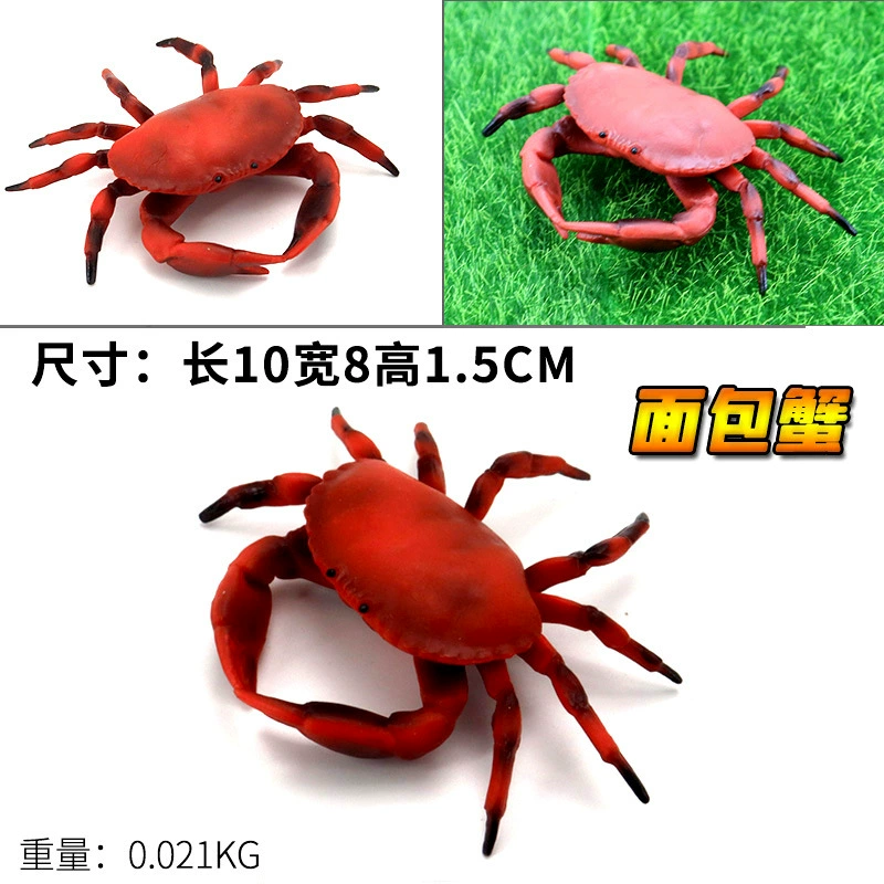 Игрушка, большие морские когнитивные украшения
