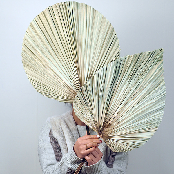Palm fan blades dry flowers