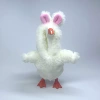 White rabbit