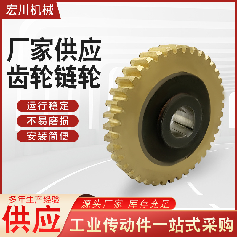 工厂加工黄铜硬齿蜗轮减速机配件45钢蜗杆传动装置金属升降涡轮