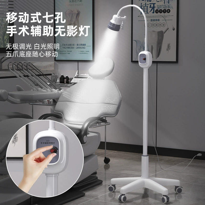 Медицинская хирургическая лампа Холодная лампа Вертикальная инсерторная лампа Светодиодный инспектировочный светильник для проверки полости рта на посадку светоотражающие лампы