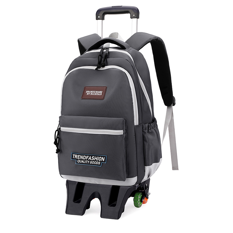 Nuevo pescado natural bolsas escolares ligeras, bolsas escolares de gran capacidad para niños de escuela primaria, bolsas escolares de 3 - 6 grados