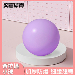 イージャ プラティボール 防爆フィットネスミニボール 25cm 妊婦用ヨガ 子供用感覚統合トレーニングボール 妊婦に最適