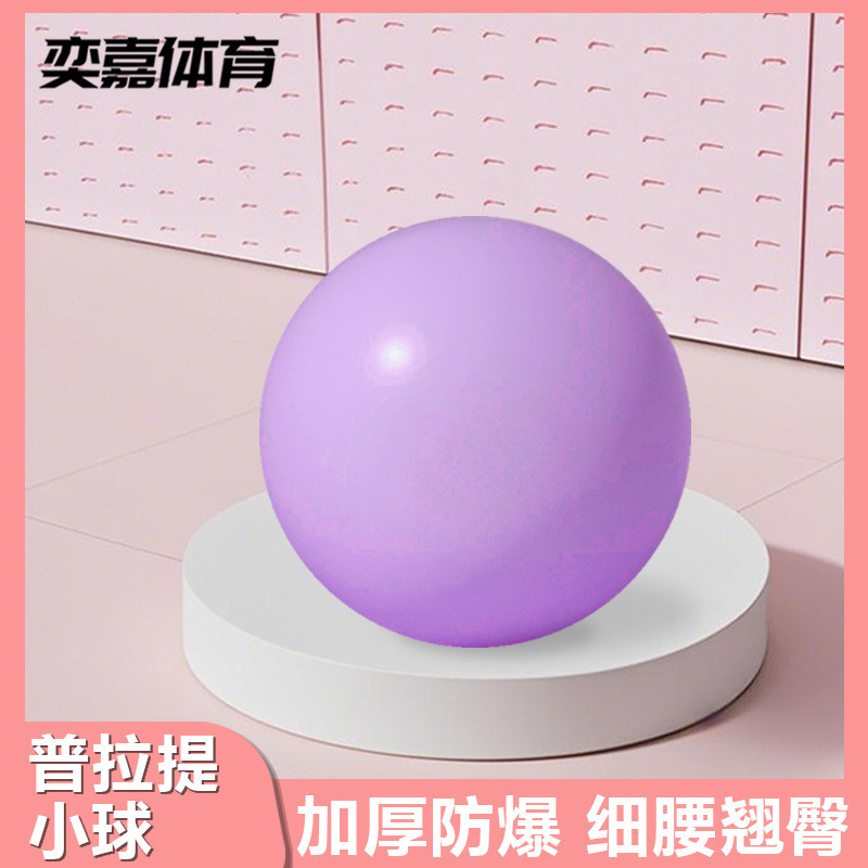 イージャ プラティボール 防爆フィットネスミニボール 25cm 妊婦用ヨガ 子供用感覚統合トレーニングボール 妊婦に最適|undefined