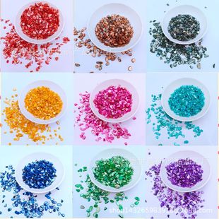 Shell Fragments Color Shell Pieces Crafts Decorative Phone Case Color Shell Dyeing Shell for Decoration