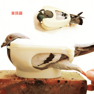 �������W�^�̶�������ע������ӷN���������r�BιʳͶș�����\ݔ