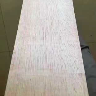 ����������l�t���� �t �Sõ�� ����ľ �Ž����� �@����