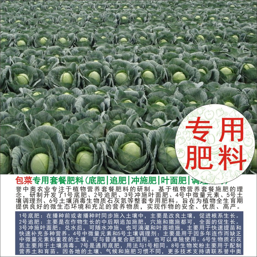 50�����а°��˸���ר���л��ʸ��Ϸʵ׷�׷��Ҷ��ʳ�ʩ��ˮ��