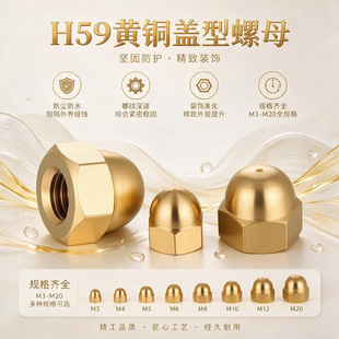 H59 �S�~�w����ĸ �wĸ �A�^�b���ĸ Ҏ�� M3-M22 ���m��˨���o
