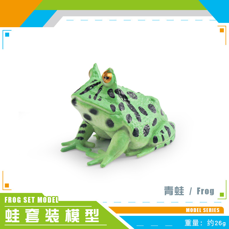 Rana BL-1335 26G