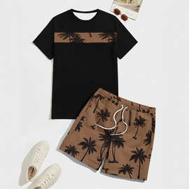 跨境男士欧版潮流夏季休闲沙滩套装短袖短裤T恤宽松两件套潮范