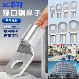 In stock supply SC peeping copper nose connector cable electrical tinned copper nose connection terminal connector SC25