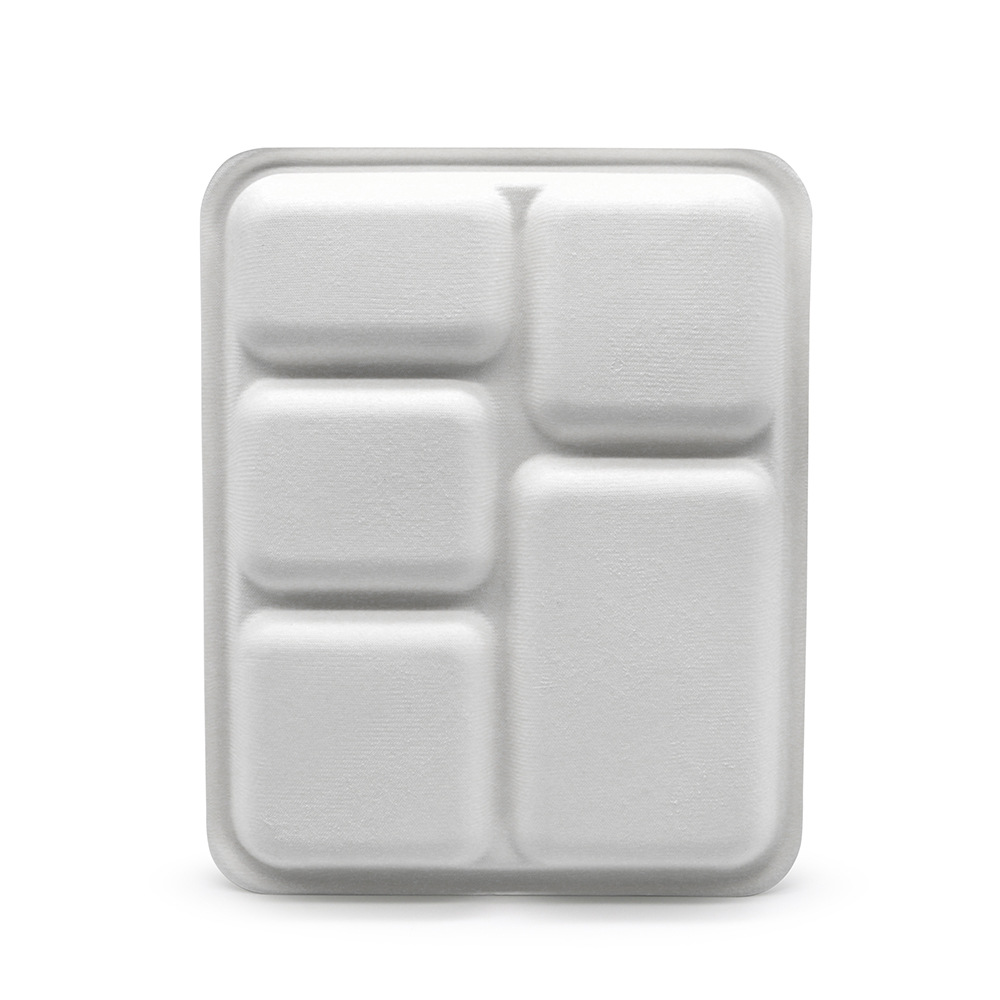 Plato de cinco compartimentos de pulpa de caña de azúcar y pulpa de bambú Shaoneng Oasis, vajilla desechable ecológica, biodegradable, compostable, portátil.