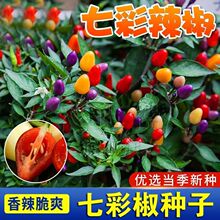 �߲ʽ��N���^�p�߲������N������ɫ�ݽ��N���҃��̨�����߲˷N��