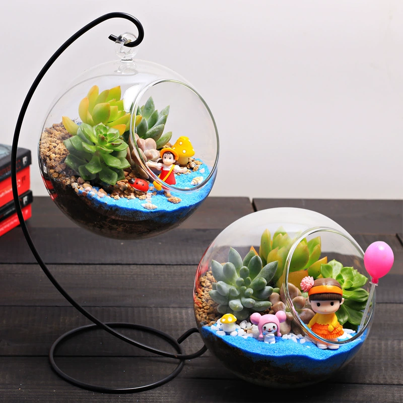 13 см суккулент капюшон микропейзаж креативное растение мини в горшке DIY растение подарок на день рождения бутылка из мха