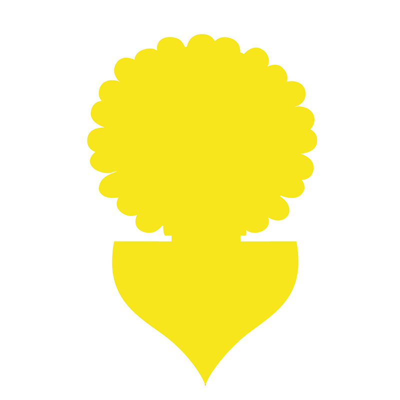 现专利异形板葵花804