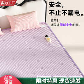 2025年新款电热毯双人单人家用棉质双控2人石墨烯正品官方旗舰店