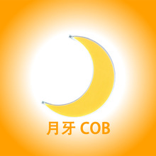 月牙cob光源2W铝基板灯珠120V电压2700K色温可定异形COB超亮