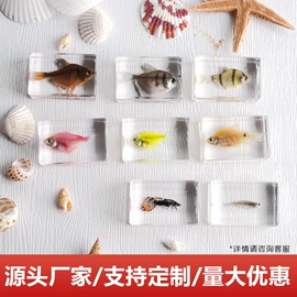 标本;树脂工艺品;工艺礼品项目
