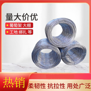 ���P䓟���\�F�z8 10 12 14 16���ؼ����僷��P��̼�z䓽z�K