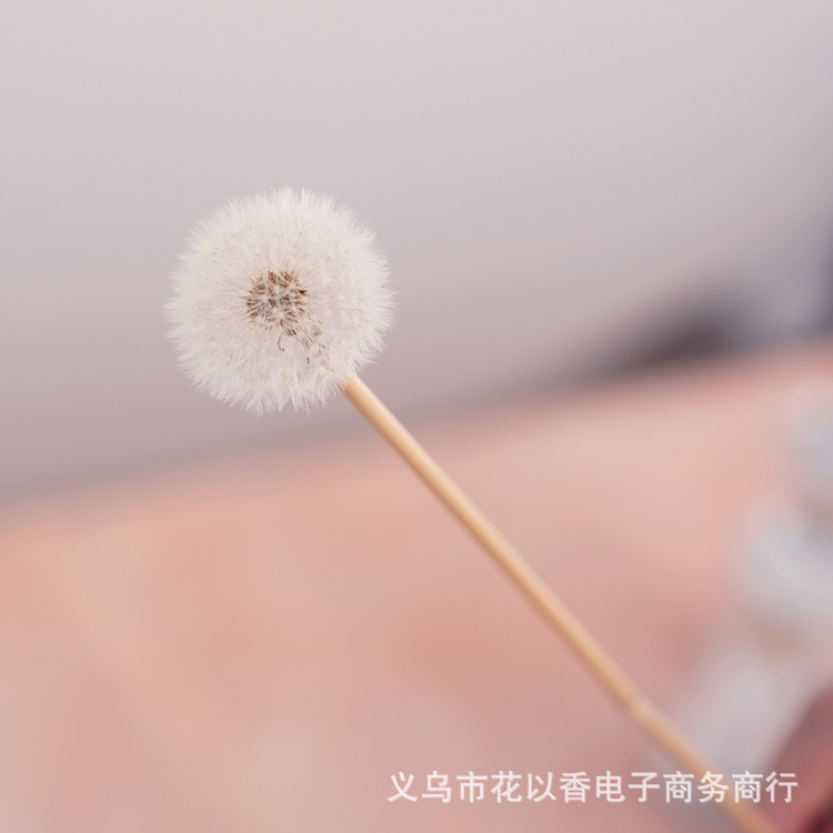 タンポポ永生花保花滴ゴム元ドライフラワー材料バッグdiy装飾花箱ガラスカバー手作り|undefined