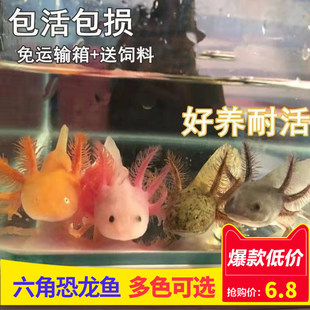 ��ˮ��ˮ�~���ǿ����~�^�p�~���~�����~���\���~ˮ�����Ќ����~