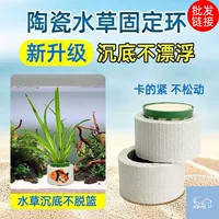 Новое фиксированное кольцо водяной травы для посадки водной травы набор из трех предметов керамическое кольцо для посадки хлопковая корзина для посадки посадочное кольцо для раковины для аквариума