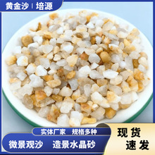 黄金砂鱼缸底砂造景水晶沙颗粒铺面装饰河沙龟缸海缸造景美观沙子