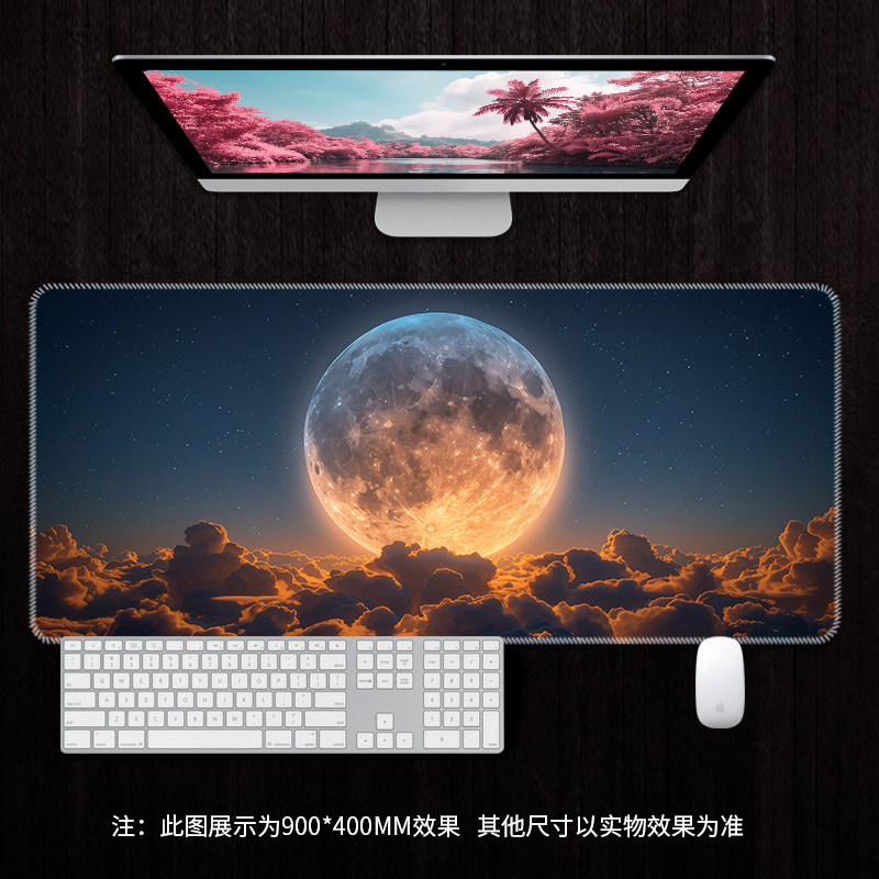 RS7920