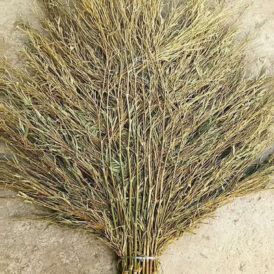 産地廠家大量批發各種規格毛竹楠竹竹枝掃帚苗掃帚制品