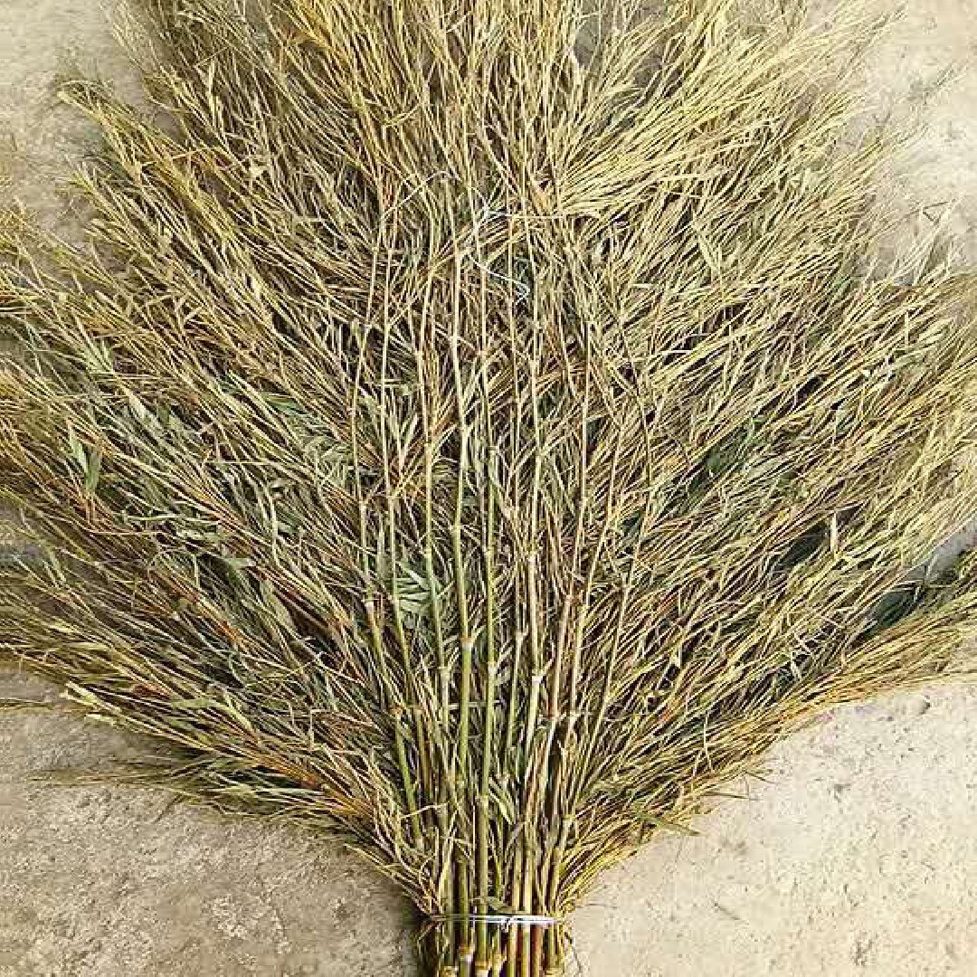 産地廠家大量批發各種規格毛竹楠竹竹枝掃帚苗掃帚制品