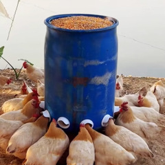 鶏に餌を与えるフードスロット家禽自動給餌神器養鶏アヒルガチョウハト専用自動フィーダーひよこフィーダー