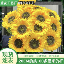 8Ӣ��������տ���֧̫ꖻ��Ҿӿ͏d�bٻ������W�t�Ĕz����